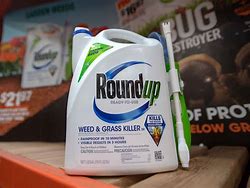 Image result for Roundup Bayer