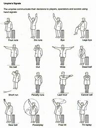 Image result for Umpire Signs