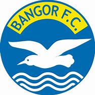 Image result for bangor_city_football_club