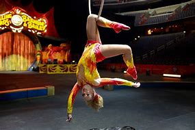 Image result for Acrobat Circus Performers