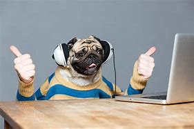 Image result for Dog Thumbs Up Meme