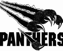 Image result for Black Panther Claws