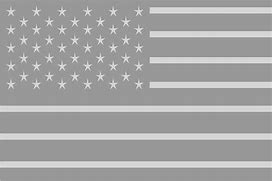 Image result for Blank American Flag