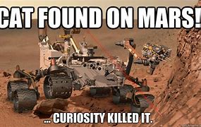 Image result for Cats On Mars Meme