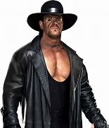 Image result for WWE 12 Undertaker
