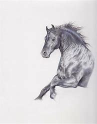 Image result for Horse Sketch