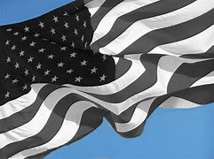 Image result for American Flag V Large