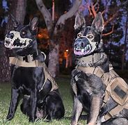 Image result for Military Dog Muzzle