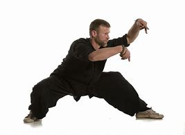 Image result for Mantis Kung Fu Pose