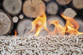 Image result for biomass panels for home