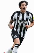 Image result for Tonali NUFC