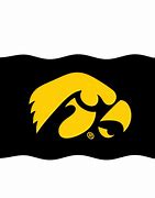 Image result for Iowa Hawkeye Images