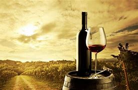 Image result for Wine Related Graphics