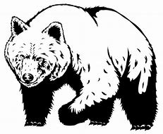 Image result for Bear Vector Art