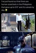 Image result for Human Size Bat Meme