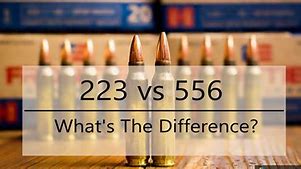 Image result for 223 vs 5.56 Ammo