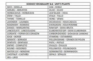 Image result for Science Vocabulary Worksheets
