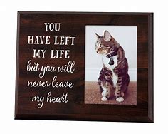 Image result for Meme-worthy Memorial Gifts