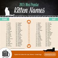 Image result for Most Popular Cat Names