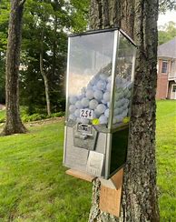 Image result for Golf Ball Gumball Machine