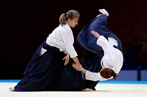 Image result for Best Martial Arts for Women