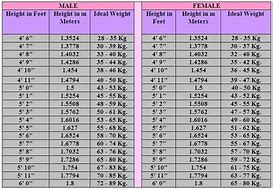 Image result for Dress Size Chart by Height and Weight