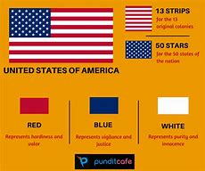 Image result for USA Flag Colours