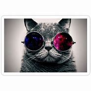 Image result for Galaxy Glasses Cat