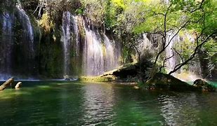 Image result for Relaxing Outdoor Sounds