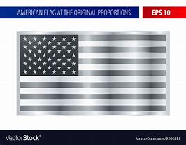 Image result for Silver American Flag