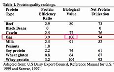 Image result for Protein Bioavailability Chart