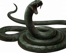 Image result for Na Gini the Snake