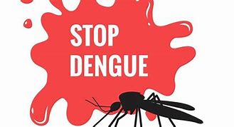 Image result for Dengue 4S Doh