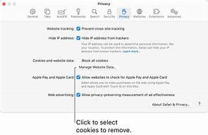 Image result for Safari Browser Clear Cache