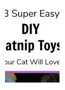 Image result for DIY Catnip Toys