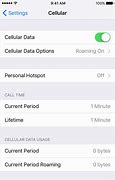 Image result for Data Usage iPhone Settings