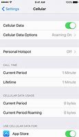 Image result for iPhone Mobile Data Remainng Settings