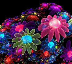 Image result for Beautiful Orange Neon Flowers