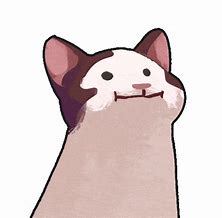 Image result for Kamui Cat Meme
