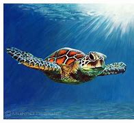 Image result for Acrylic Painting Sea Life