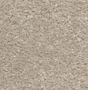 Image result for LifeProof Carpet Brick Paver