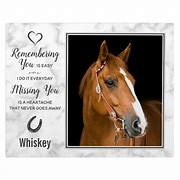 Image result for Deceased Horse Memory Cup
