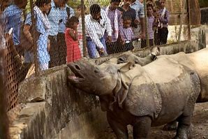 Image result for India Largest Zoo