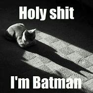 Image result for Batman Cat Meme