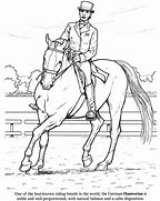 Image result for English Riding Dressage