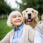 Image result for Companion Pets for Seniors