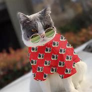 Image result for Cat Pajamas Kids