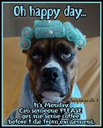 Image result for Morning Dog Meme