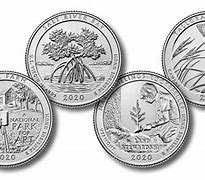 Image result for Rare Quarters 2020