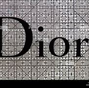 Image result for Dior Grey and White Logo
